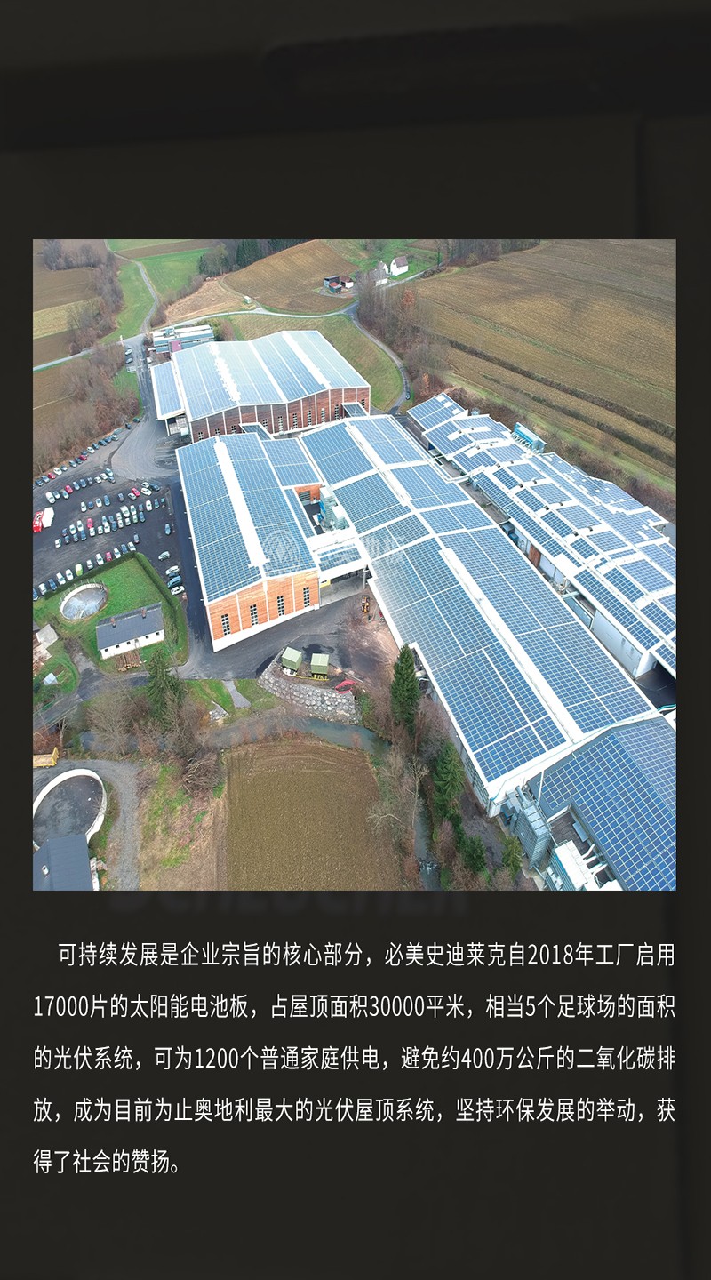 史迪莱克介绍_06.jpg
